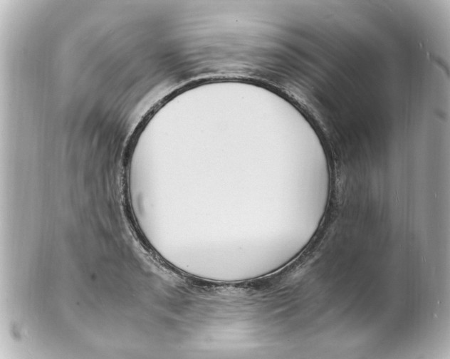 X0000101481085200808041123