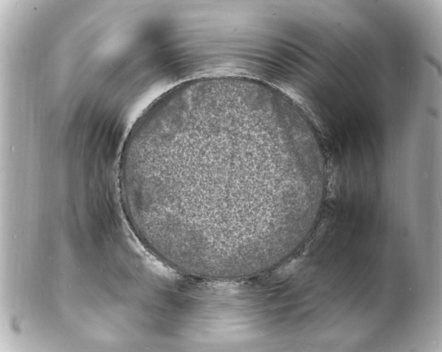 X0000101481086200808041123