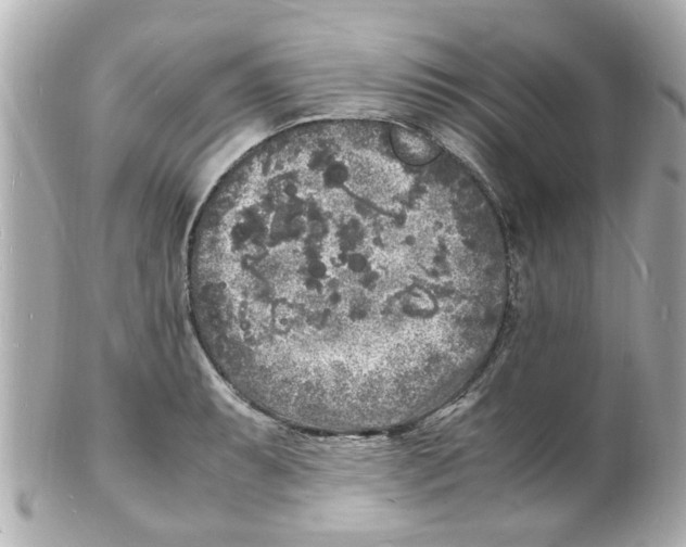 X0000101481087200808041123