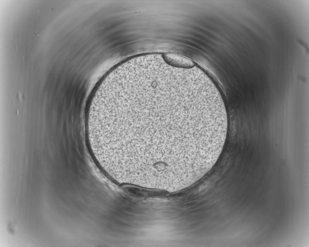 X0000101481088200808041123