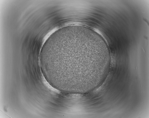 X0000101481090200808041123