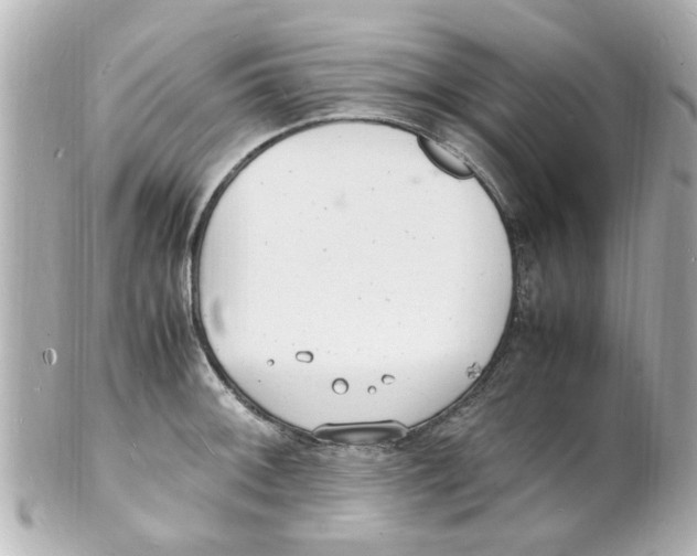 X0000101481092200808041123