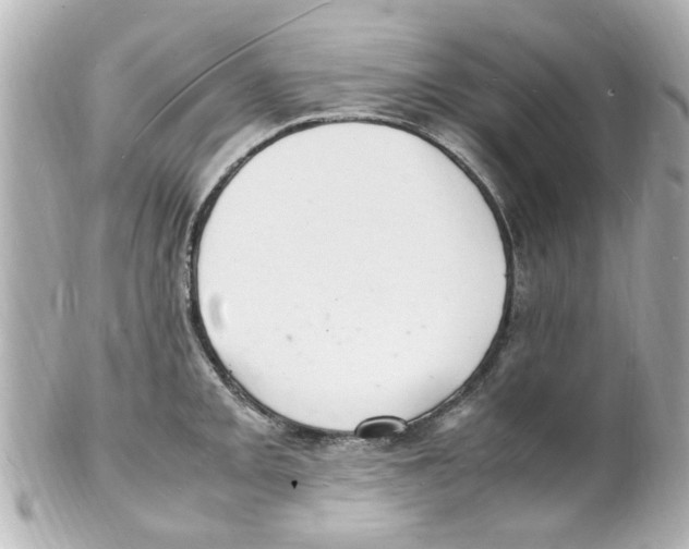 X0000101481093200808041123