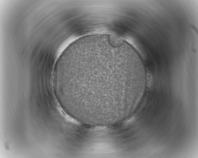 X0000101481094200808041123