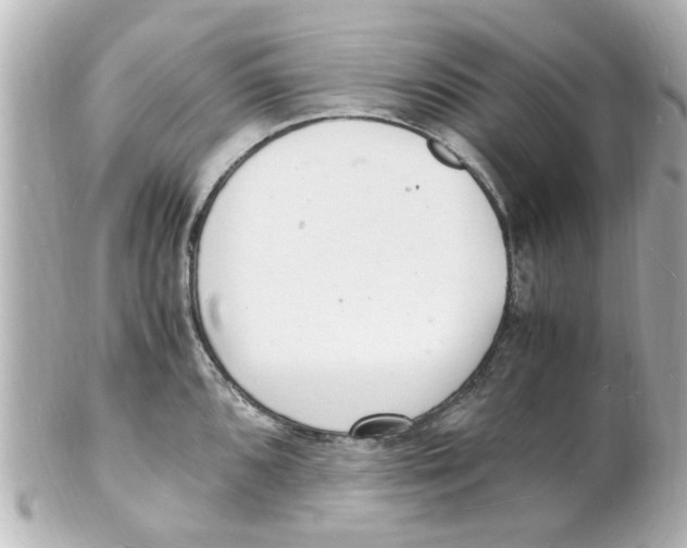 X0000101481096200808041123