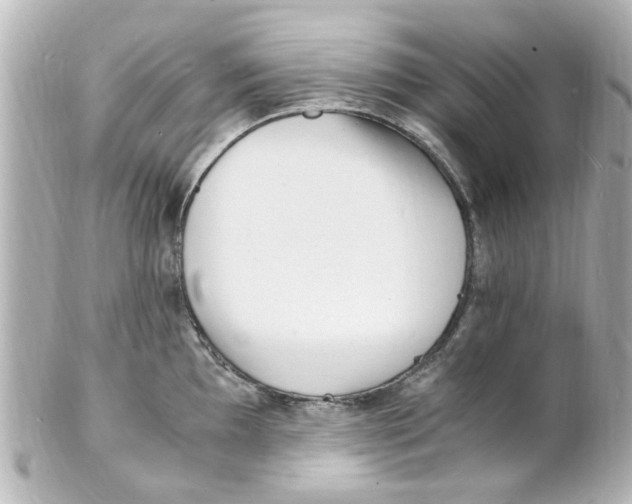 X0000101481097200808041123