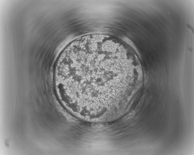 X0000101481099200808041123