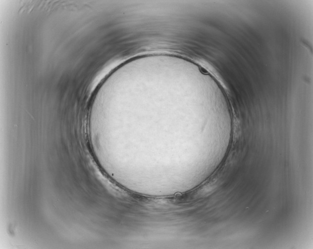 X0000101481101200808041122