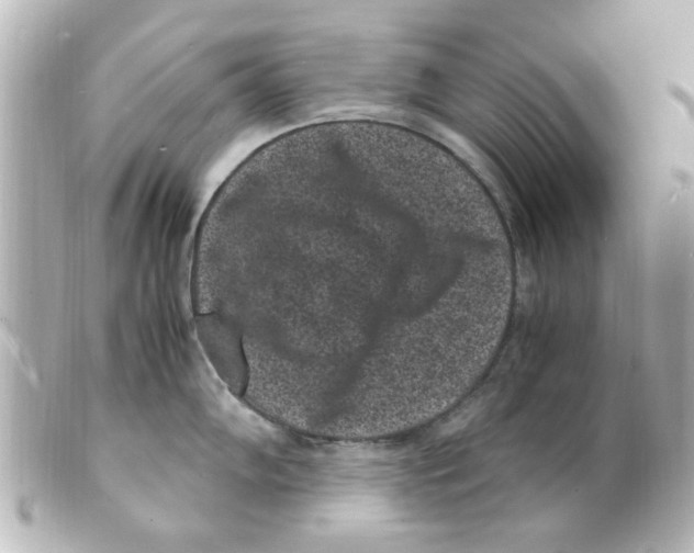 X0000101481102200808041122