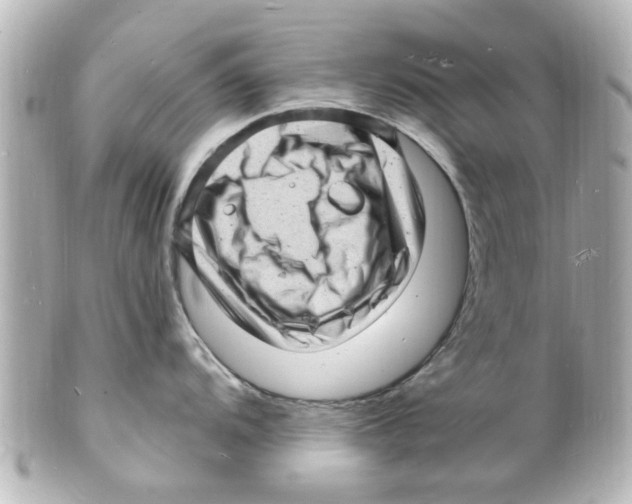 X0000101481104200808041122