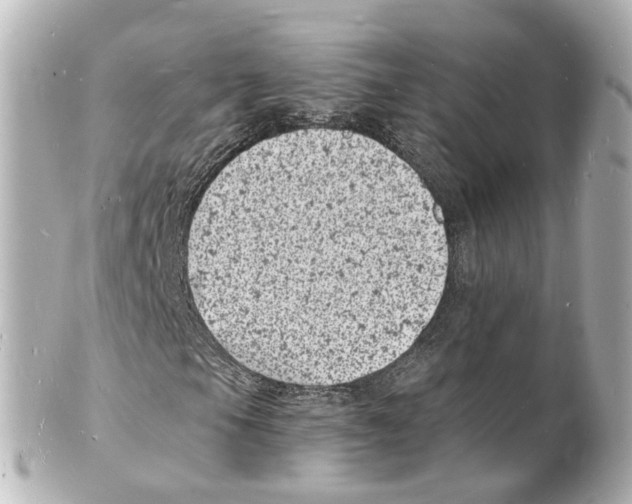 X0000101481105200808041122