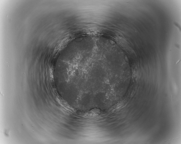 X0000101481106200808041122