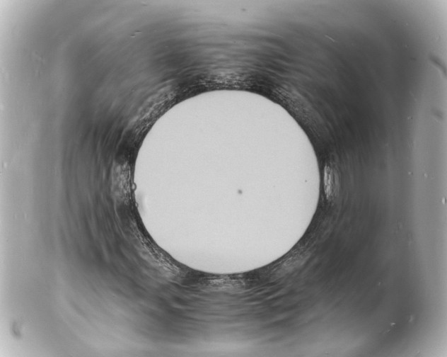 X0000101481107200808041122