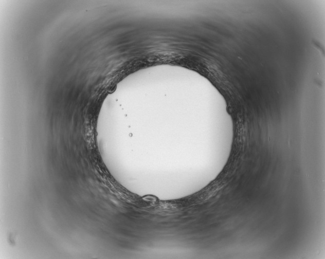 X0000101481109200808041122