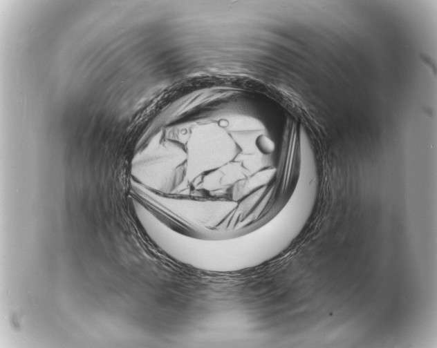 X0000101481110200808041122