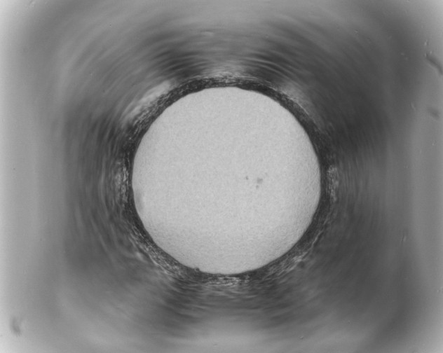 X0000101481111200808041122