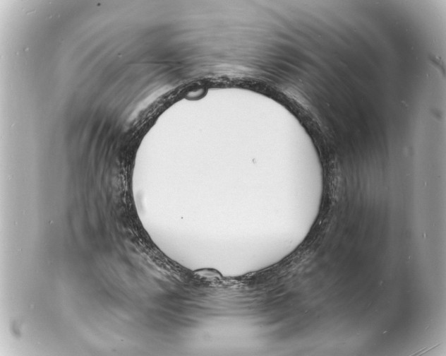 X0000101481112200808041122