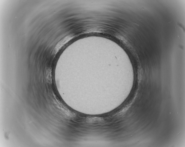 X0000101481113200808041122