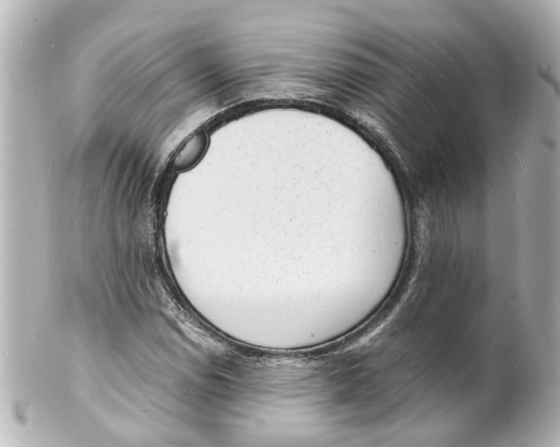 X0000101481114200808041122