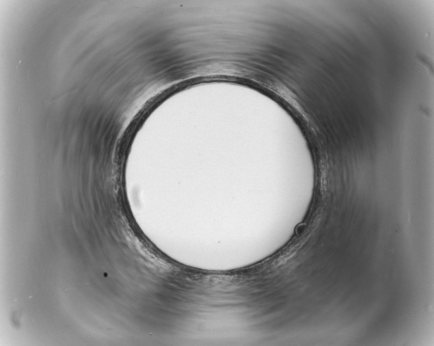 X0000101481116200808041122