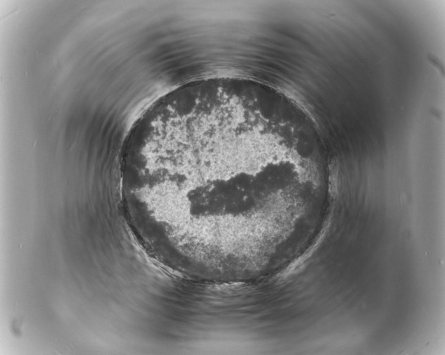 X0000101481117200808041122