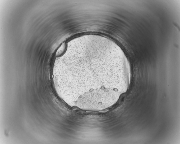 X0000101481118200808041122