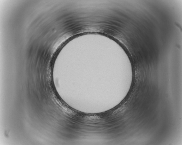 X0000101481119200808041122