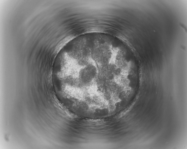 X0000101481121200808041122