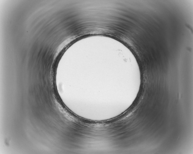 X0000101481122200808041122