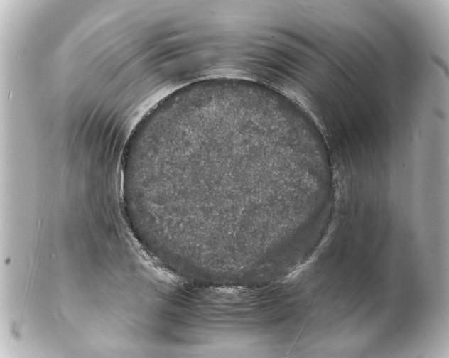 X0000101481125200808041122