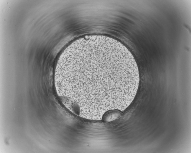 X0000101481126200808041122