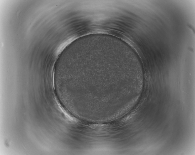 X0000101481127200808041122