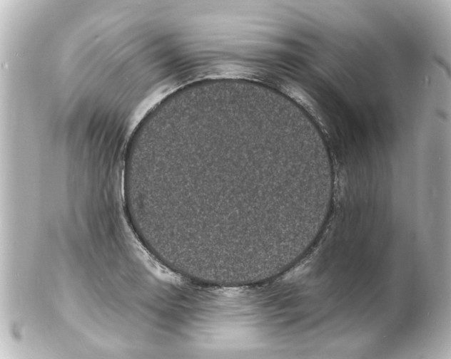 X0000101481130200808041122