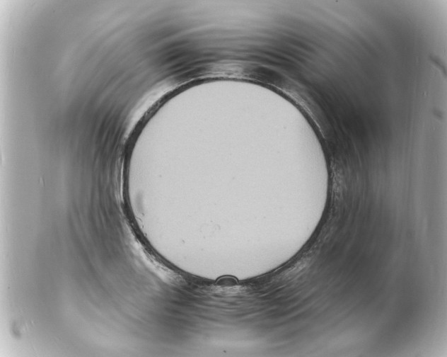 X0000101481131200808041122