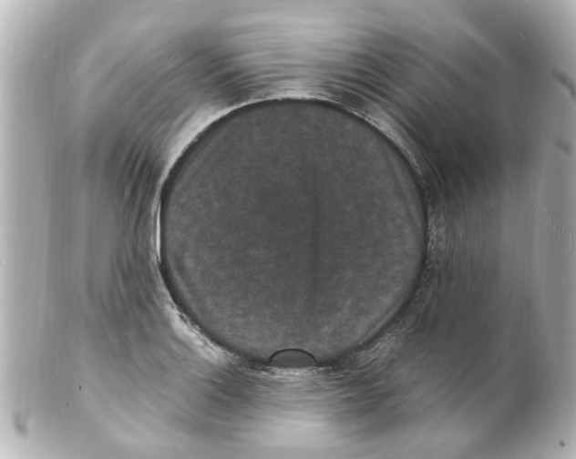 X0000101481132200808041122