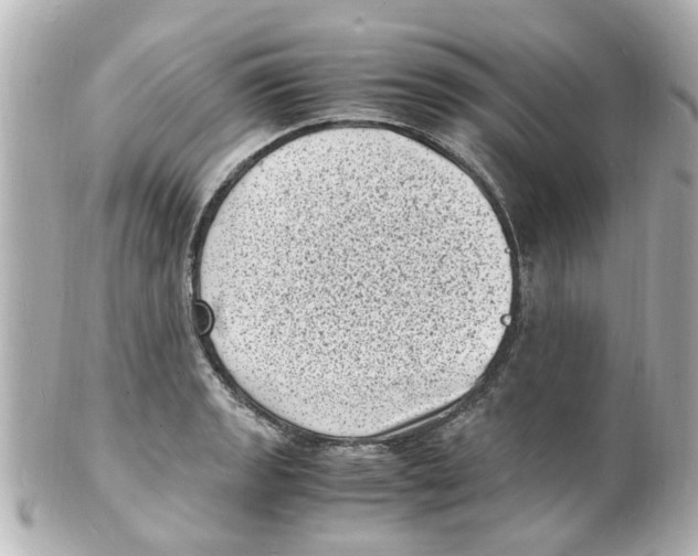 X0000101481133200808041122