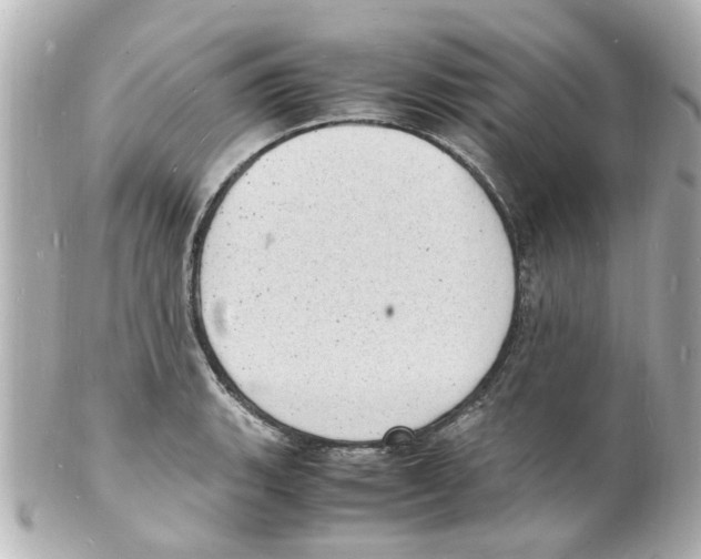 X0000101481135200808041122