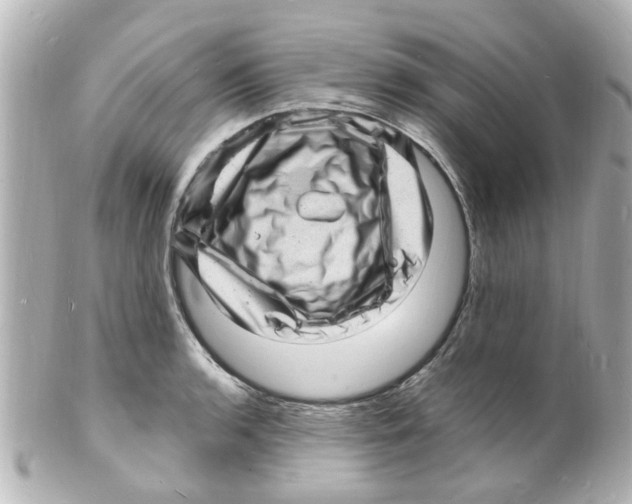 X0000101481136200808041122