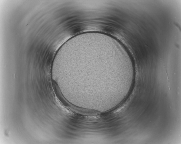 X0000101481137200808041122