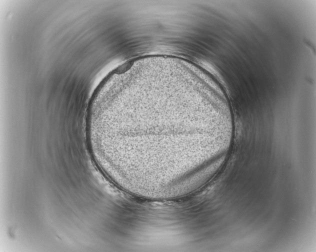 X0000101481138200808041122