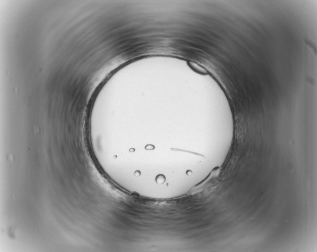 X0000101481139200808041122