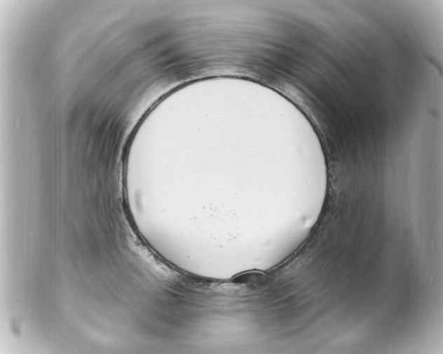 X0000101481140200808041122