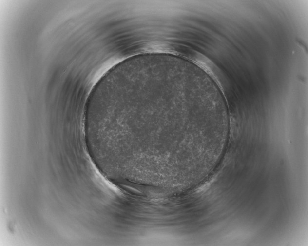 X0000101481141200808041122