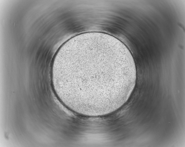 X0000101481142200808041122