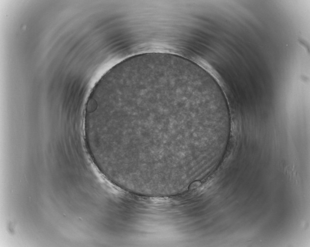 X0000101481144200808041122