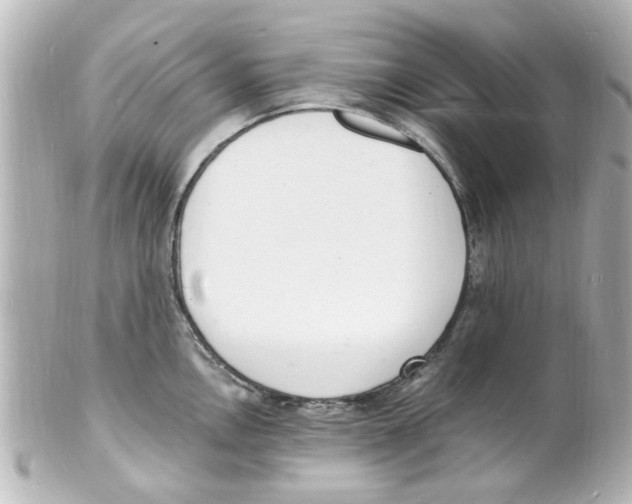 X0000101481146200808041122