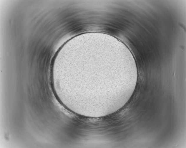 X0000101481147200808041122