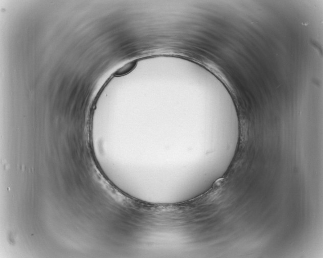 X0000101481148200808041122