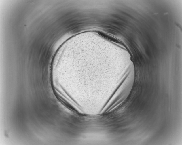 X0000101481151200808041122