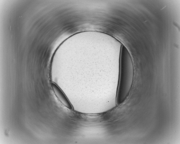 X0000101481152200808041122